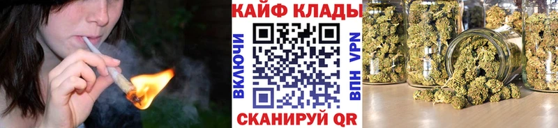 Бошки Шишки Белгород