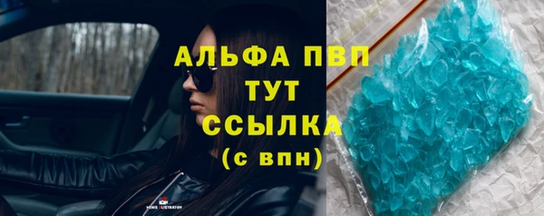 PSILOCYBIN Богородицк