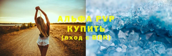 PSILOCYBIN Богородицк