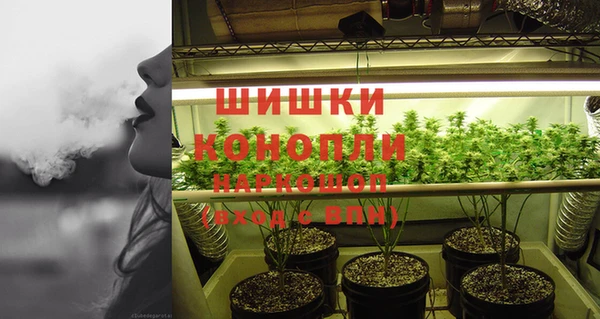 PSILOCYBIN Богородицк