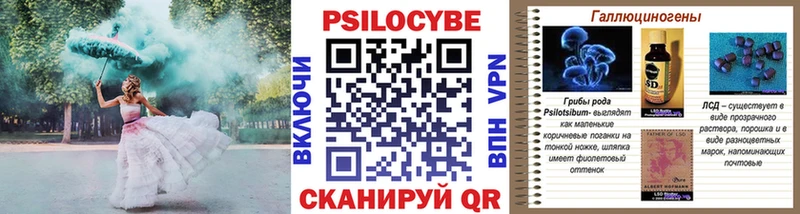 KRAKEN сайт  Белгород  Псилоцибиновые грибы Psilocybe 